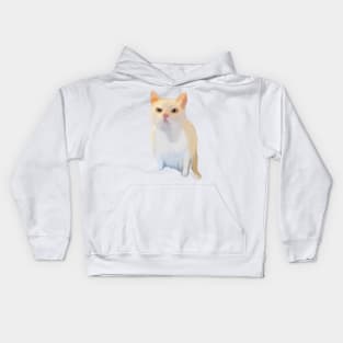 Annoyed Funny meme cat Kids Hoodie